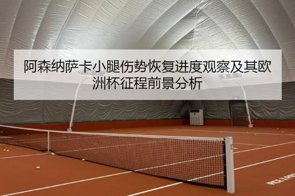 阿森纳萨卡小腿伤势恢复进度观察及其欧洲杯征程前景分析