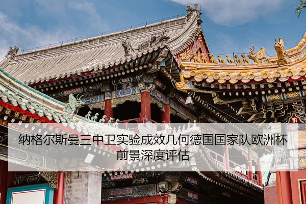 na-ge-er-si-man-san-zhong-wei-shi-yan-cheng-xiao-ji-he-de-guo-guo-jia-dui-ou-zhou-bei-qian-jing-shen-du-ping-gu-2-477.jpg